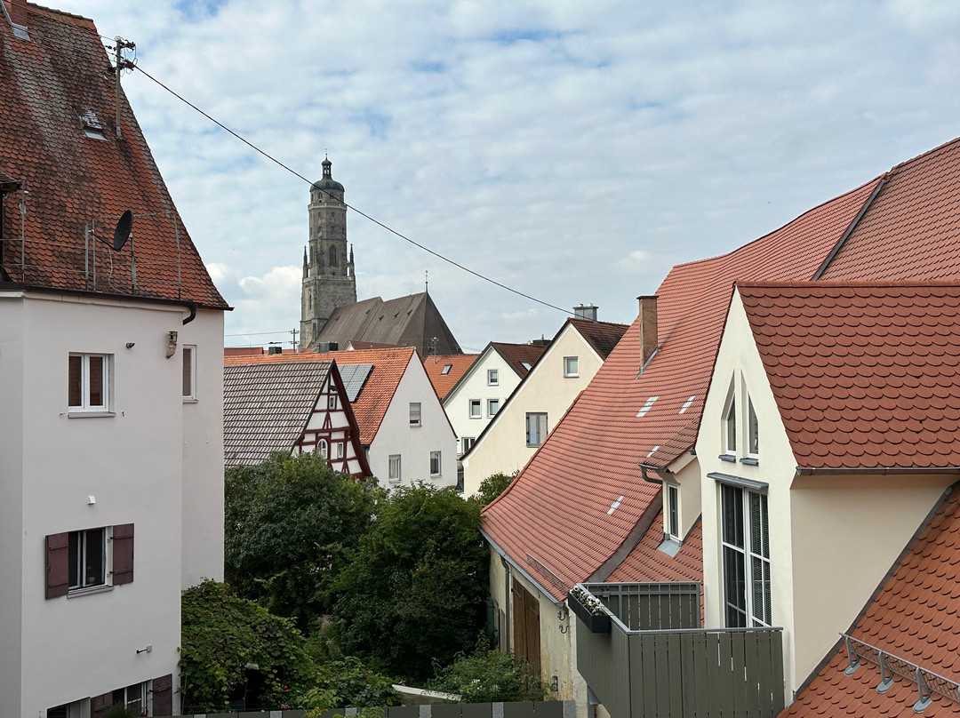 Historische Stadtmauer-讷德林根必去景点