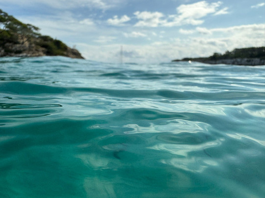 Starfish Glass Bottom Boats-Portocolom必去景点