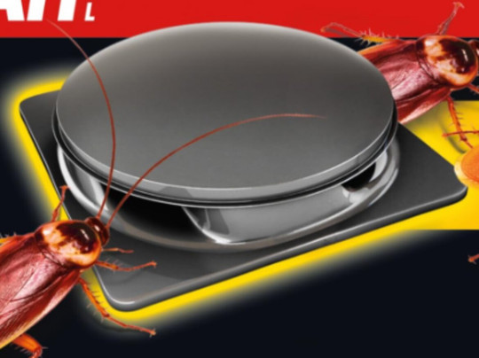 Sunset Inn & Suites主图