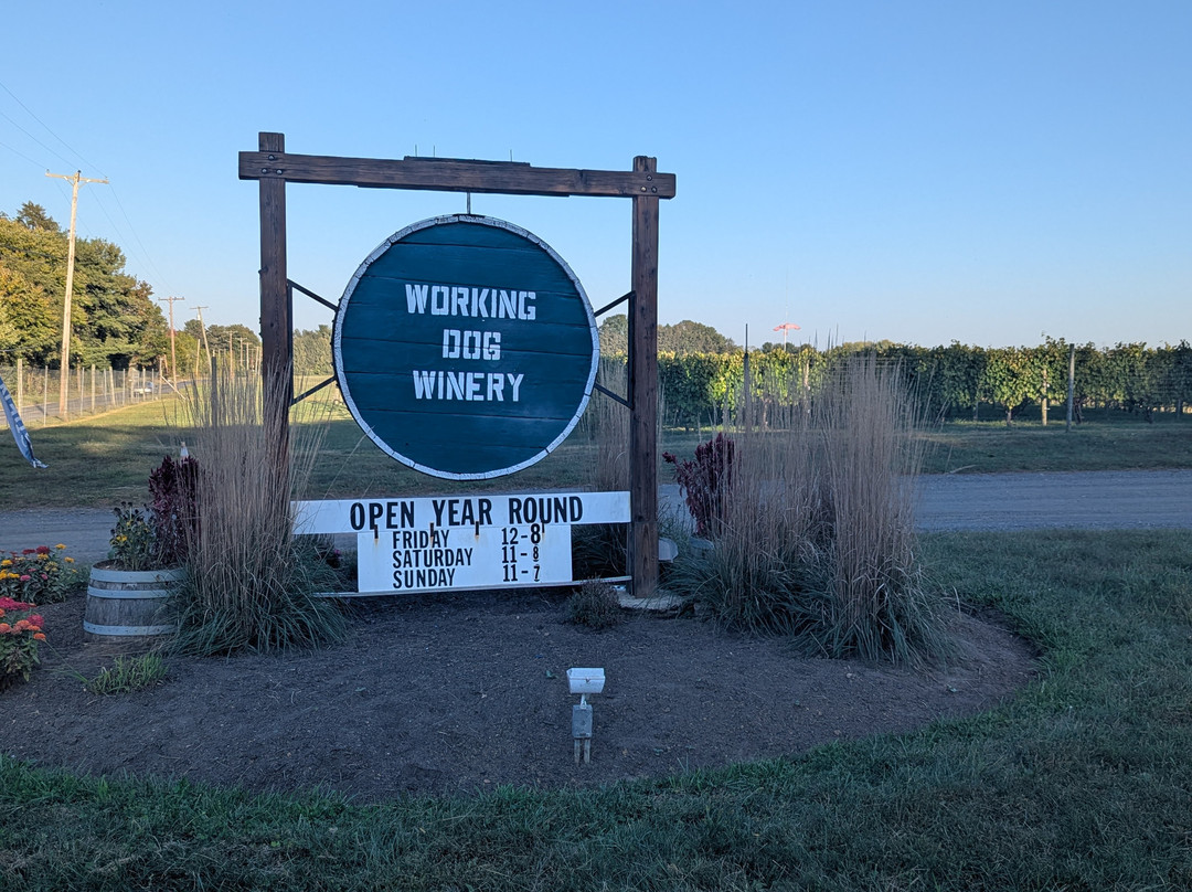 Working Dog Winery-东温莎必去景点