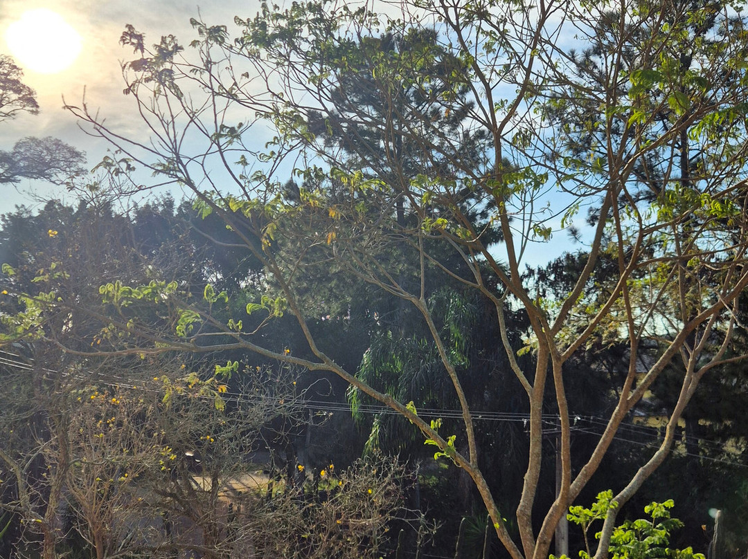 Hotel Fazenda Minas Real主图