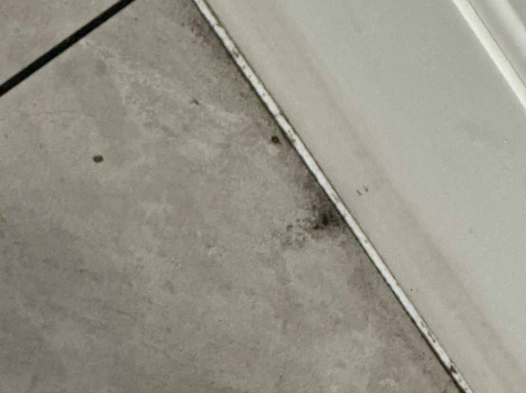 La Quinta Inn & Suites by Wyndham Dublin主图