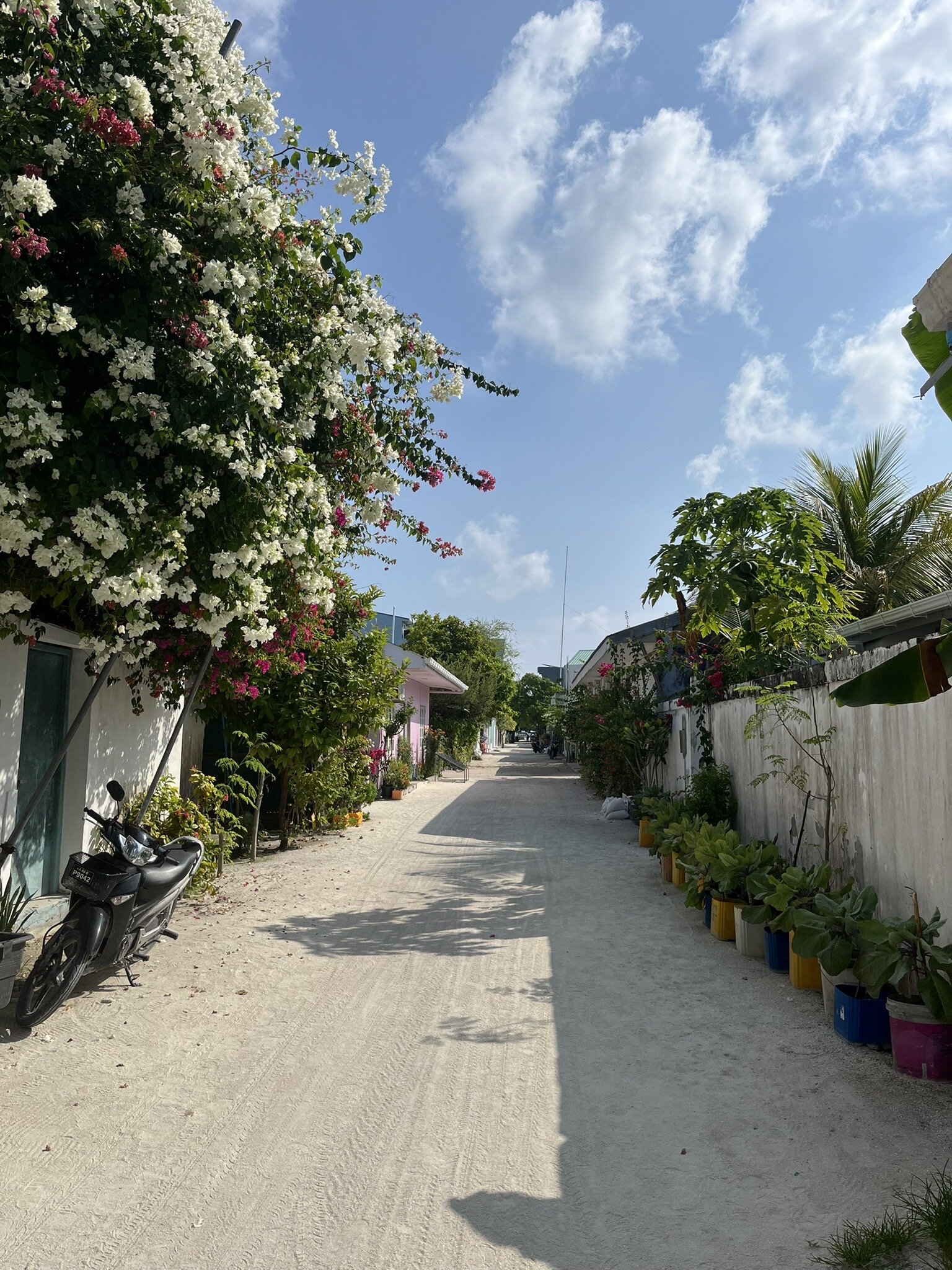 Ocean Retreat & Spa-官方