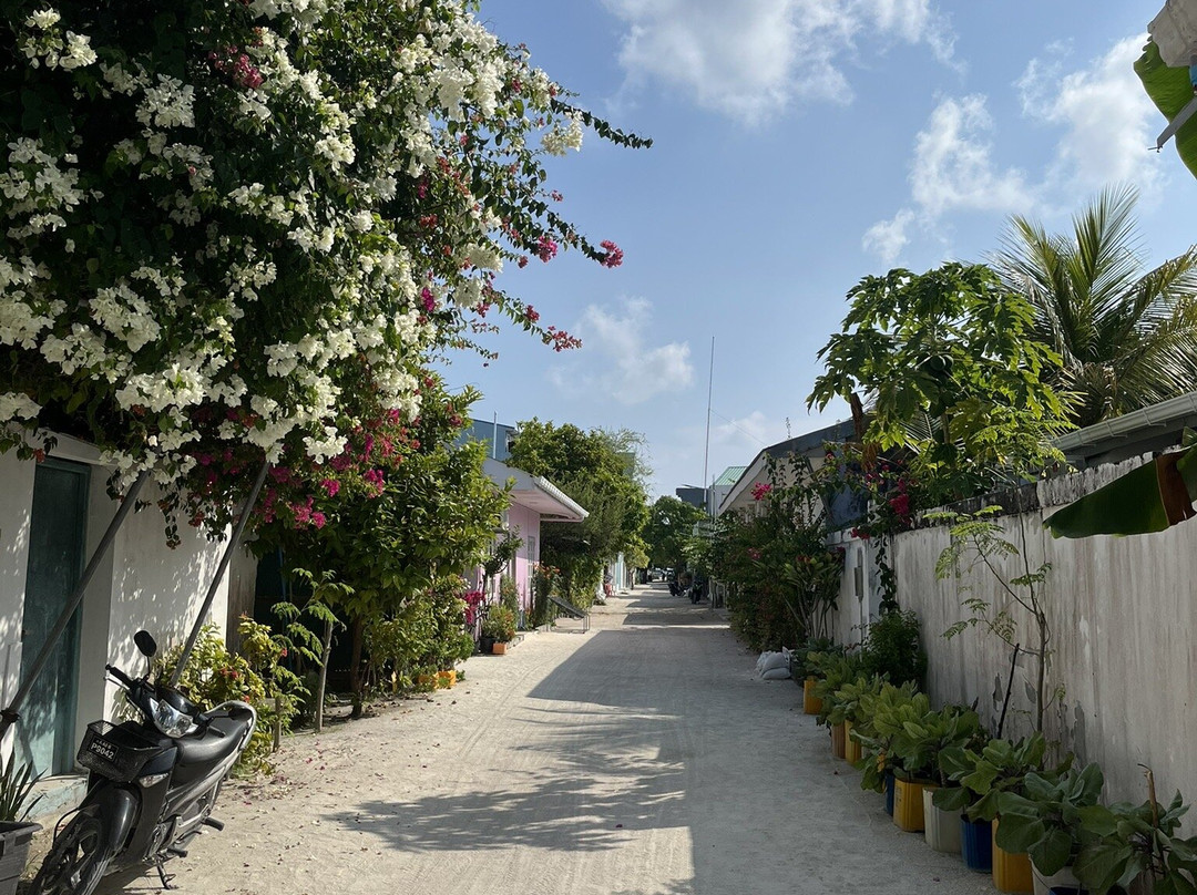 Ocean Retreat & Spa主图