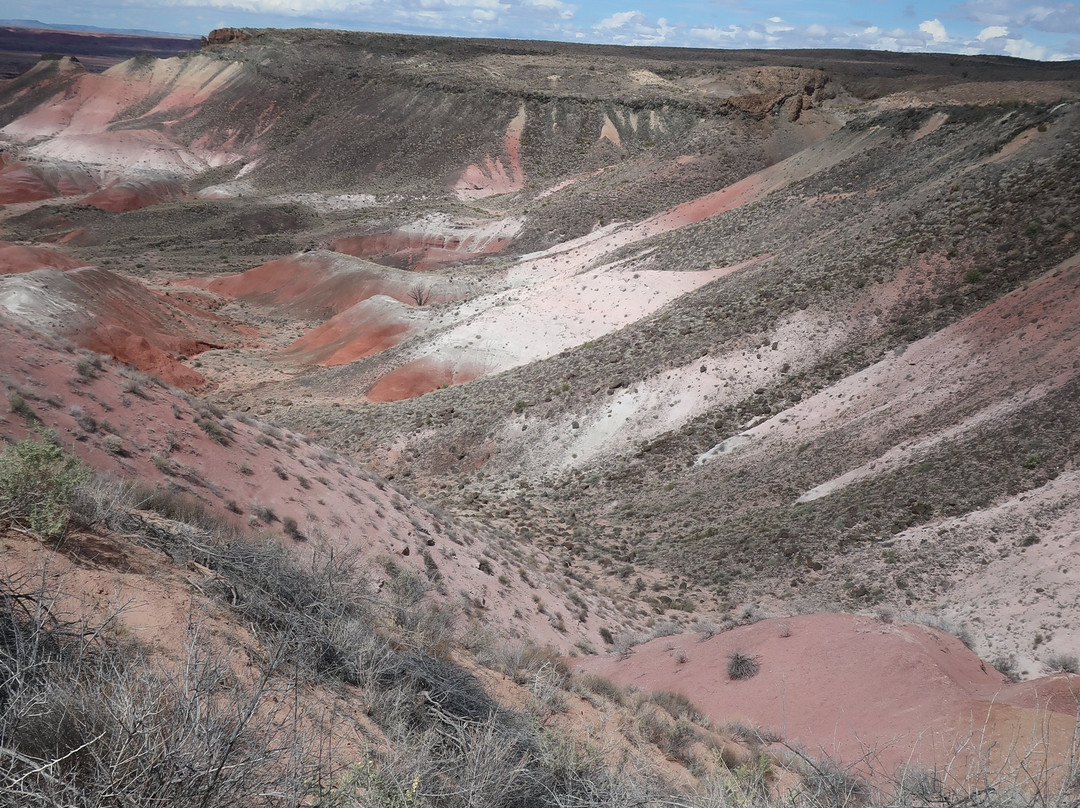 Petrified Forest National Park-霍尔布鲁克必去景点