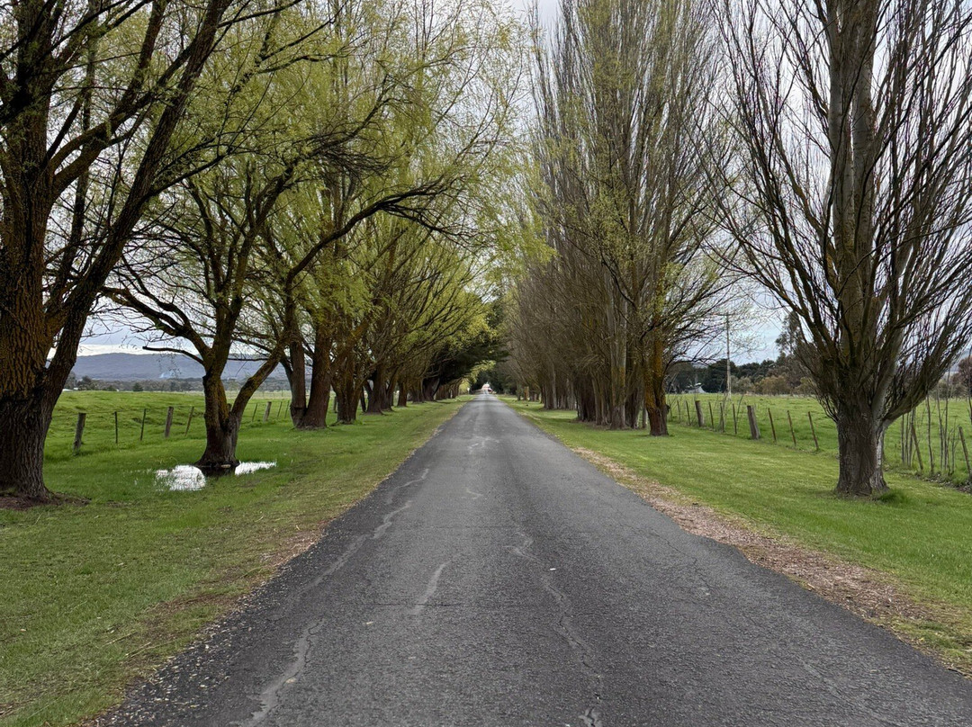 Cleveland Estate主图