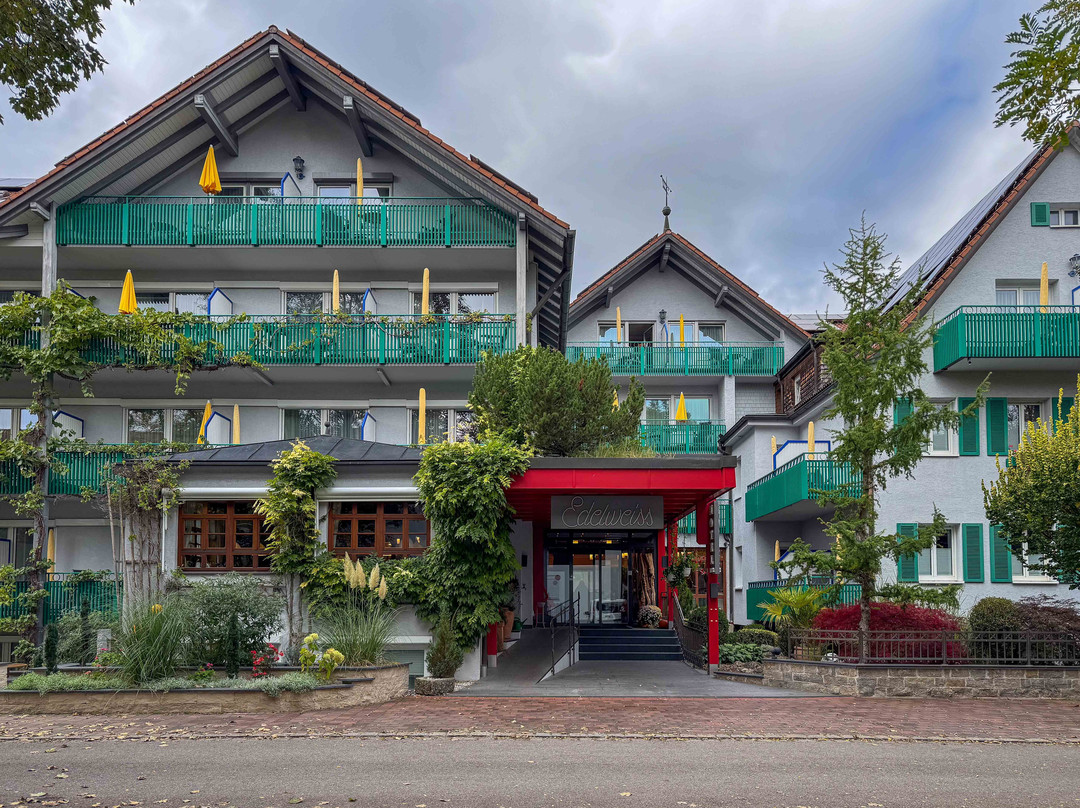 Kneipp- und WellVitalhotel Edelweiss主图