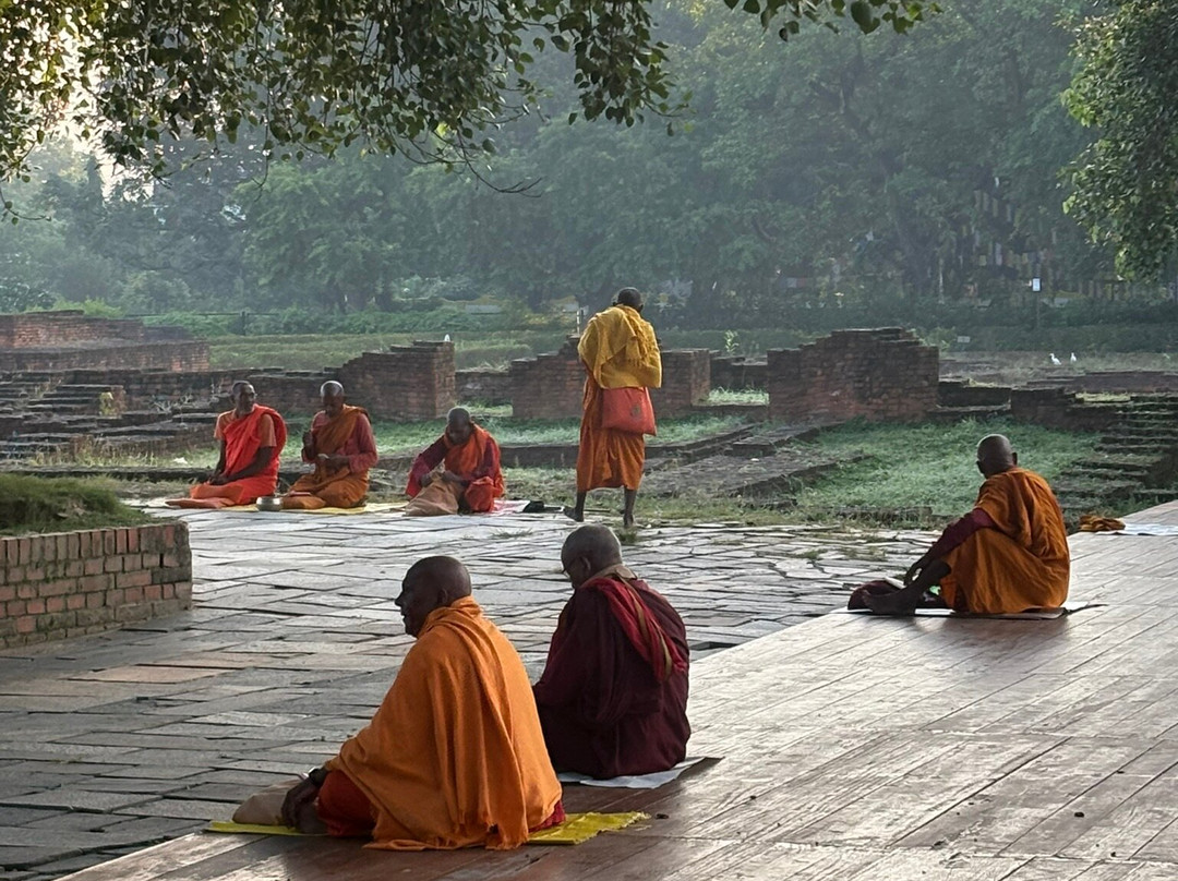 Hotel Ananda Inn主图