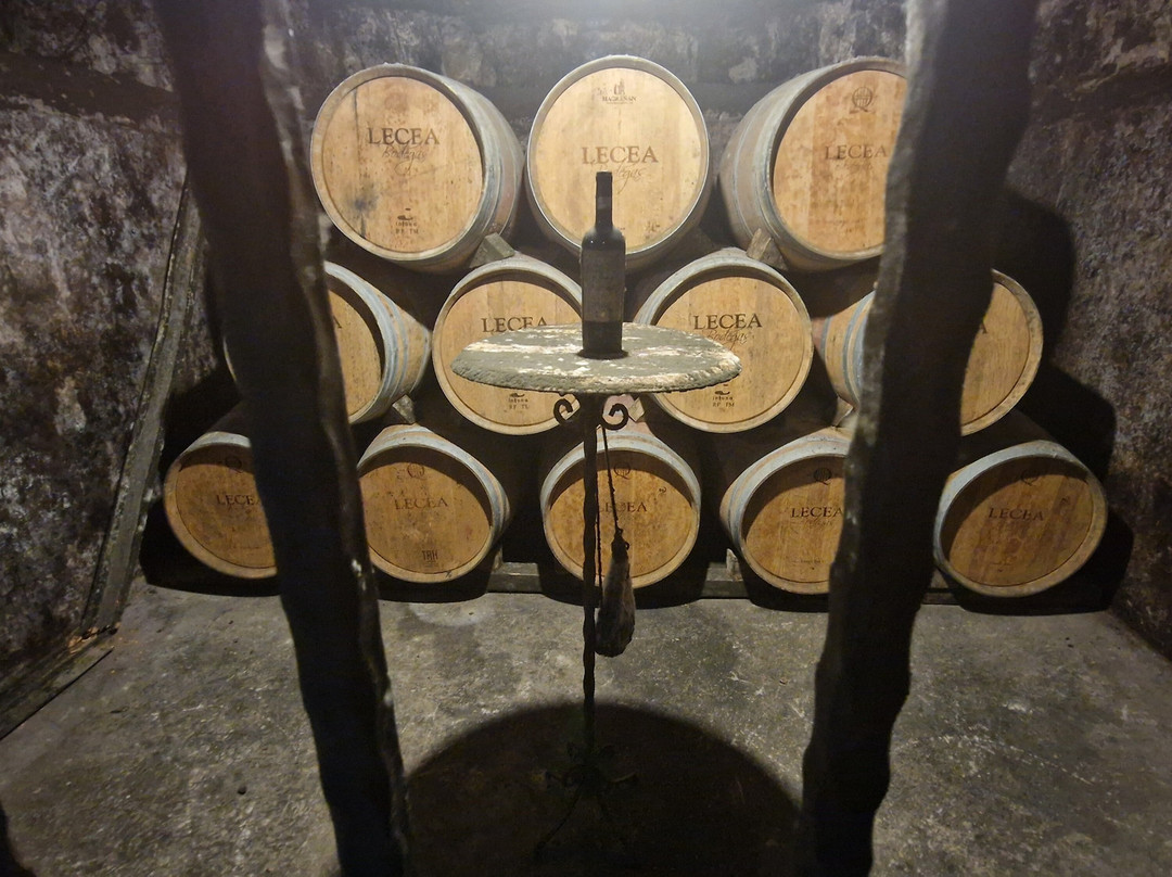Bodegas Lecea-San Asensio必去景点