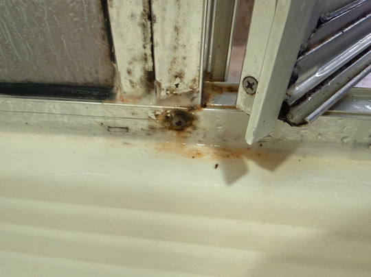 Comfort Inn & Suites Lake Norman主图