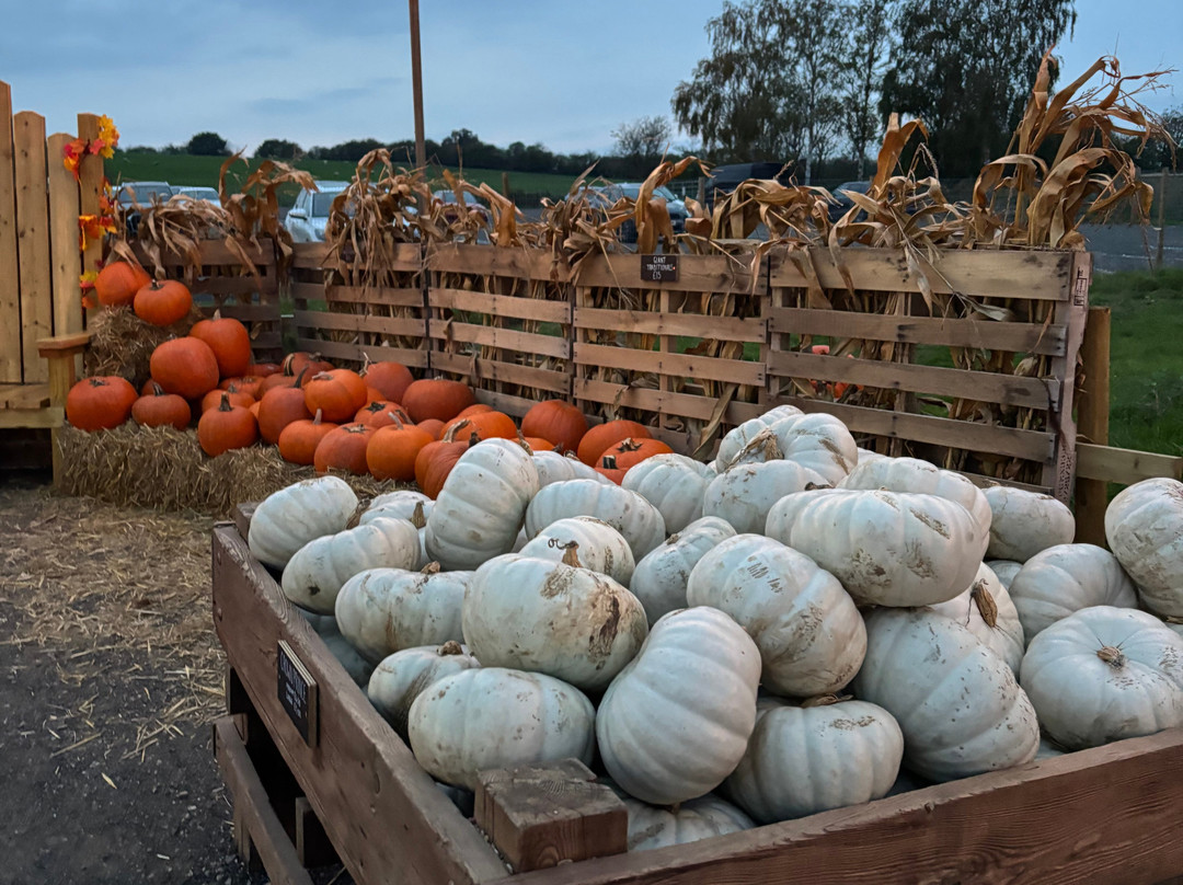 Monk Park Farm-Bagby必去景点