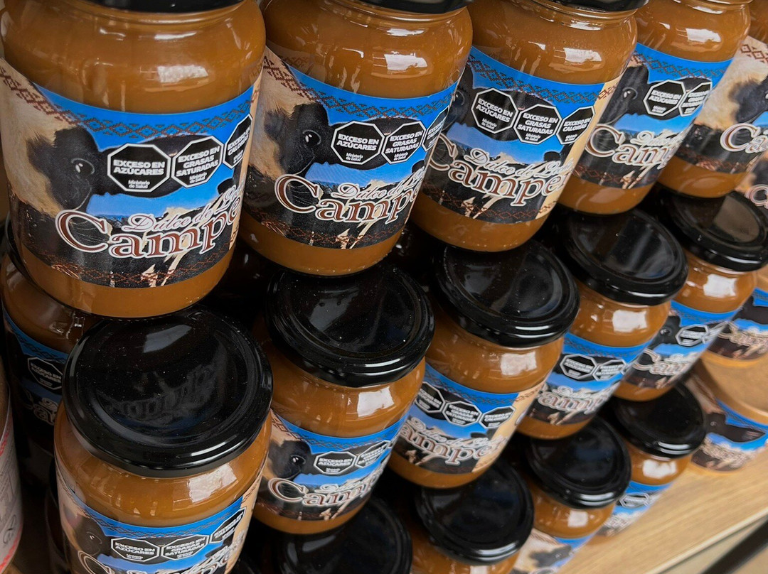 Campero-Necochea必去景点