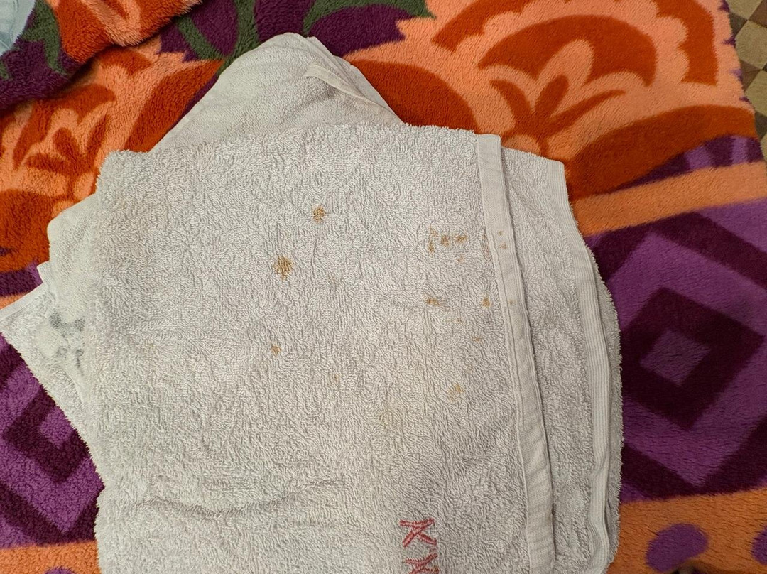 Krishna Kausthubha Service Apartment