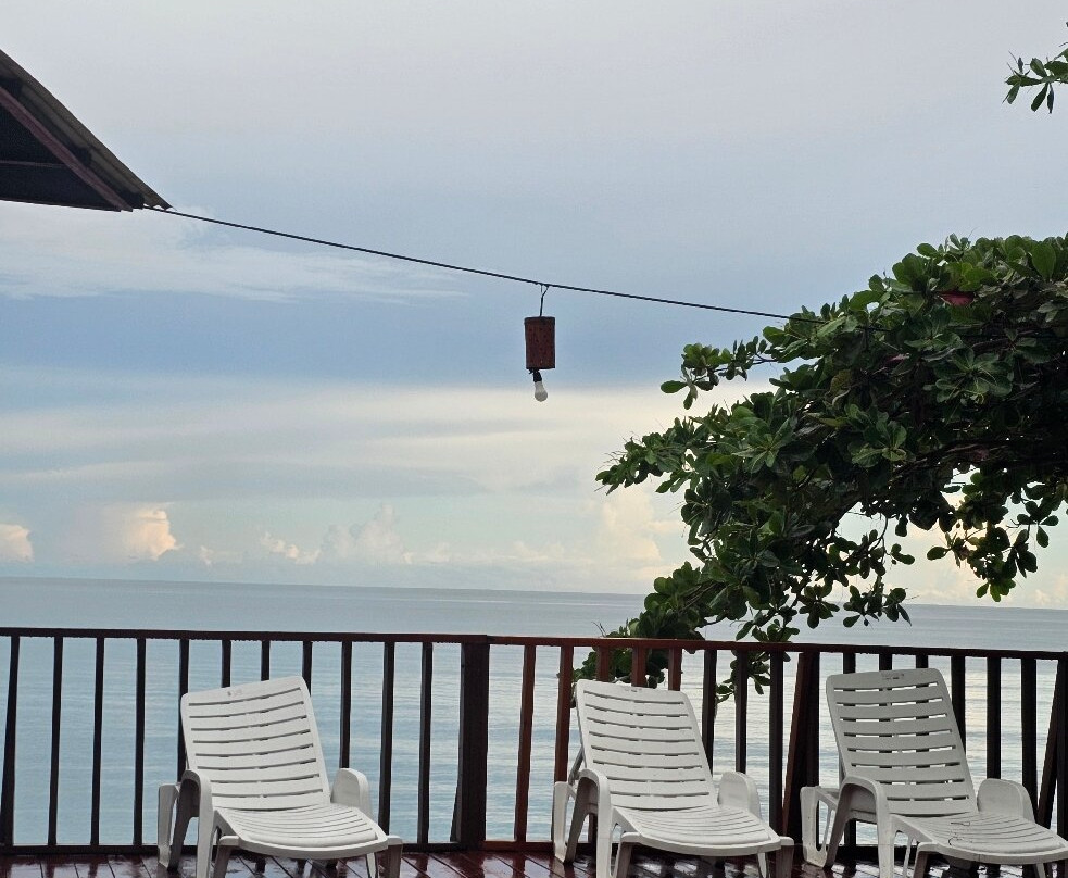 Hotel Playa Bonita主图