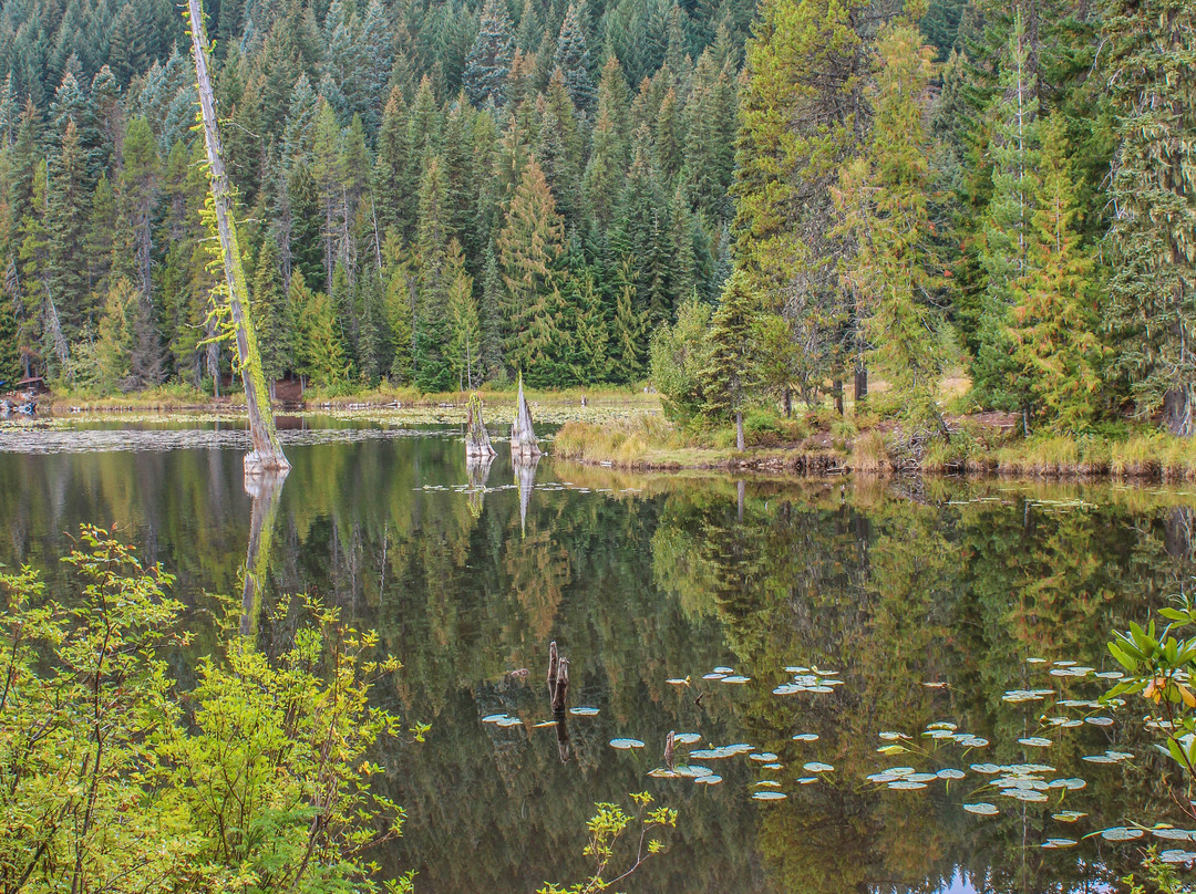 延龄草湖-Government Camp必去景点