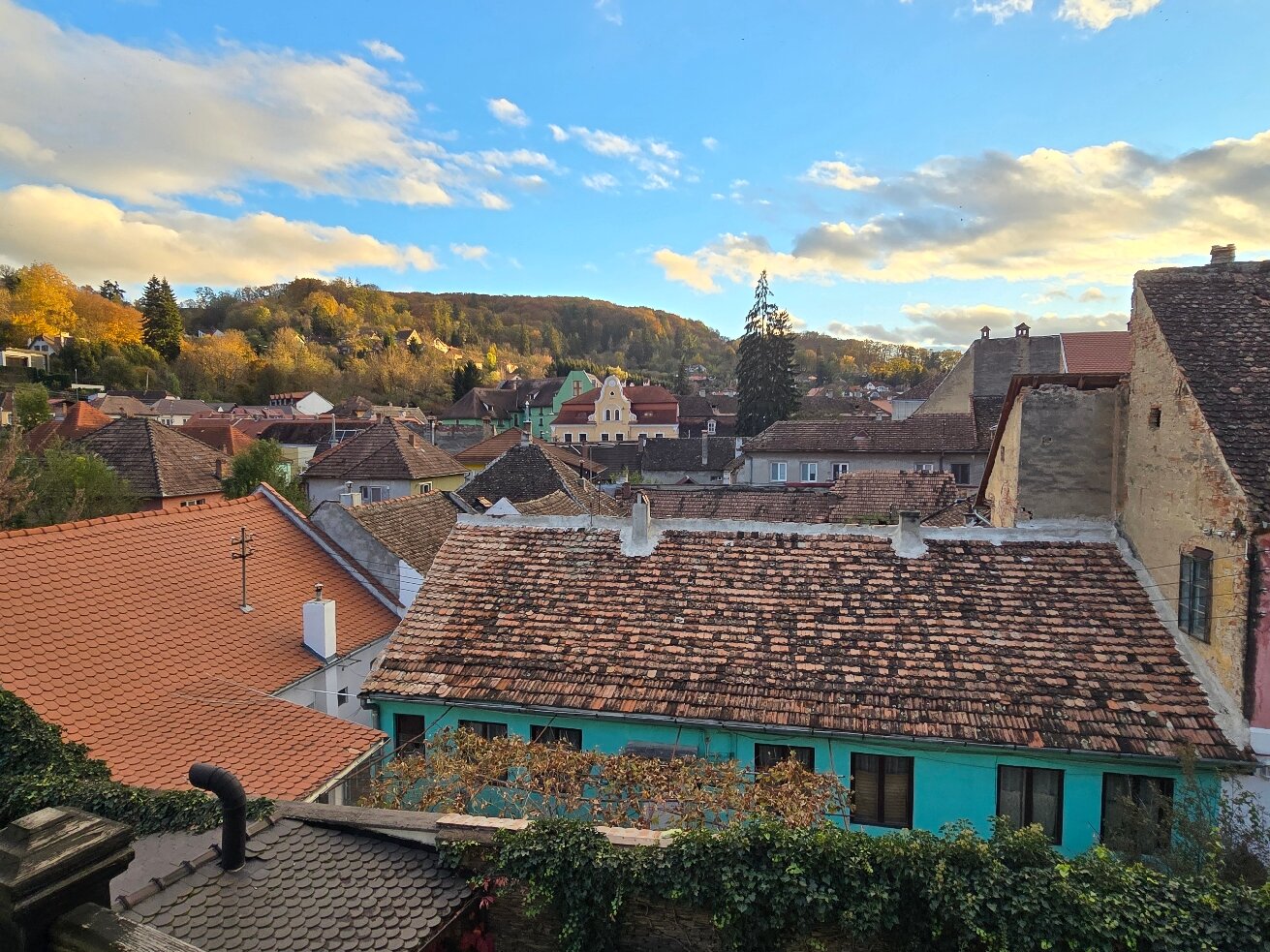 Hotel Central Park-官方