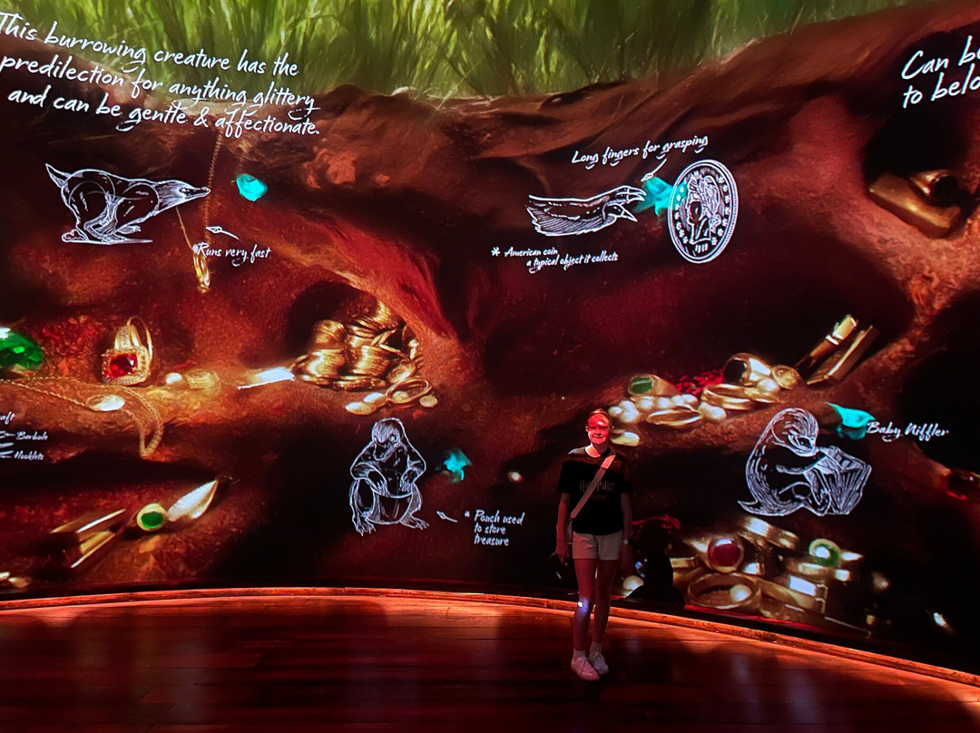 Harry Potter: Visions Of Magic Singapore-圣淘沙岛必去景点