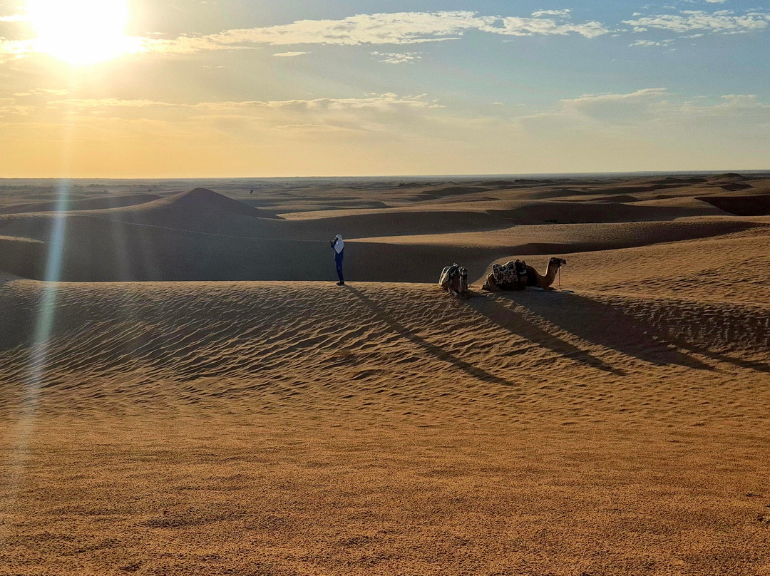 Autre Tunisie Day Tours-Houmt Souk必去景点