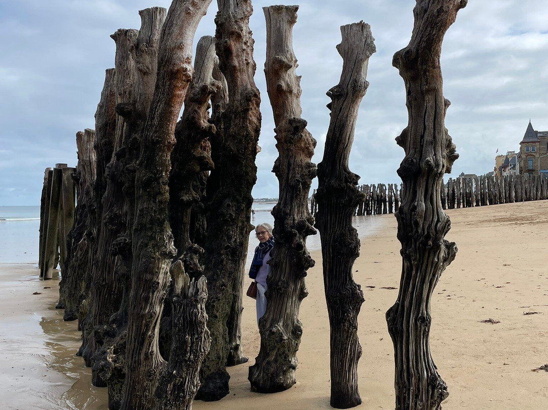 Plage du Sillon-圣马洛必去景点