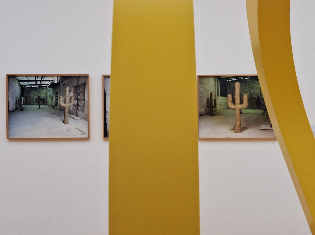 Mambo - Museo d'Arte Moderna di Bologna-博洛尼亚必去景点