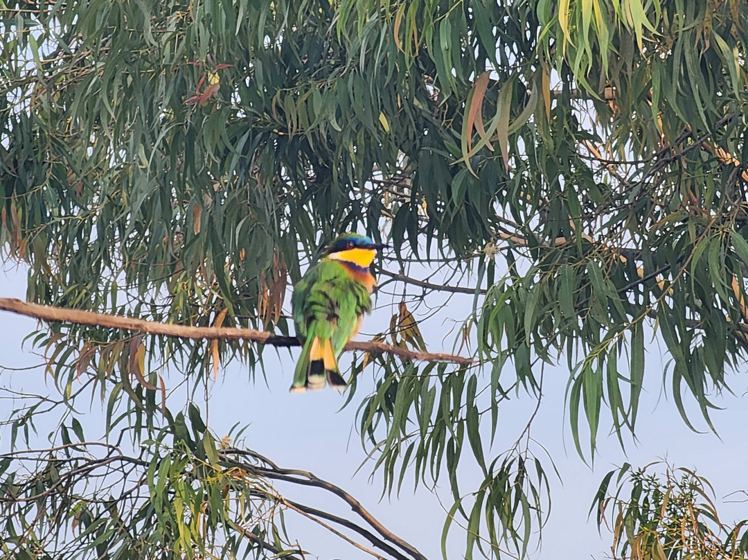 Hawassa Lake View Hotel主图