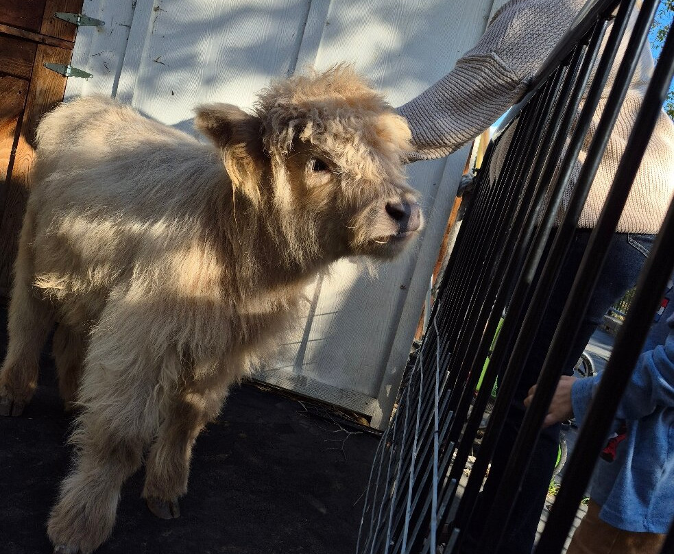 SkyLand Ranch-塞维尔维尔必去景点