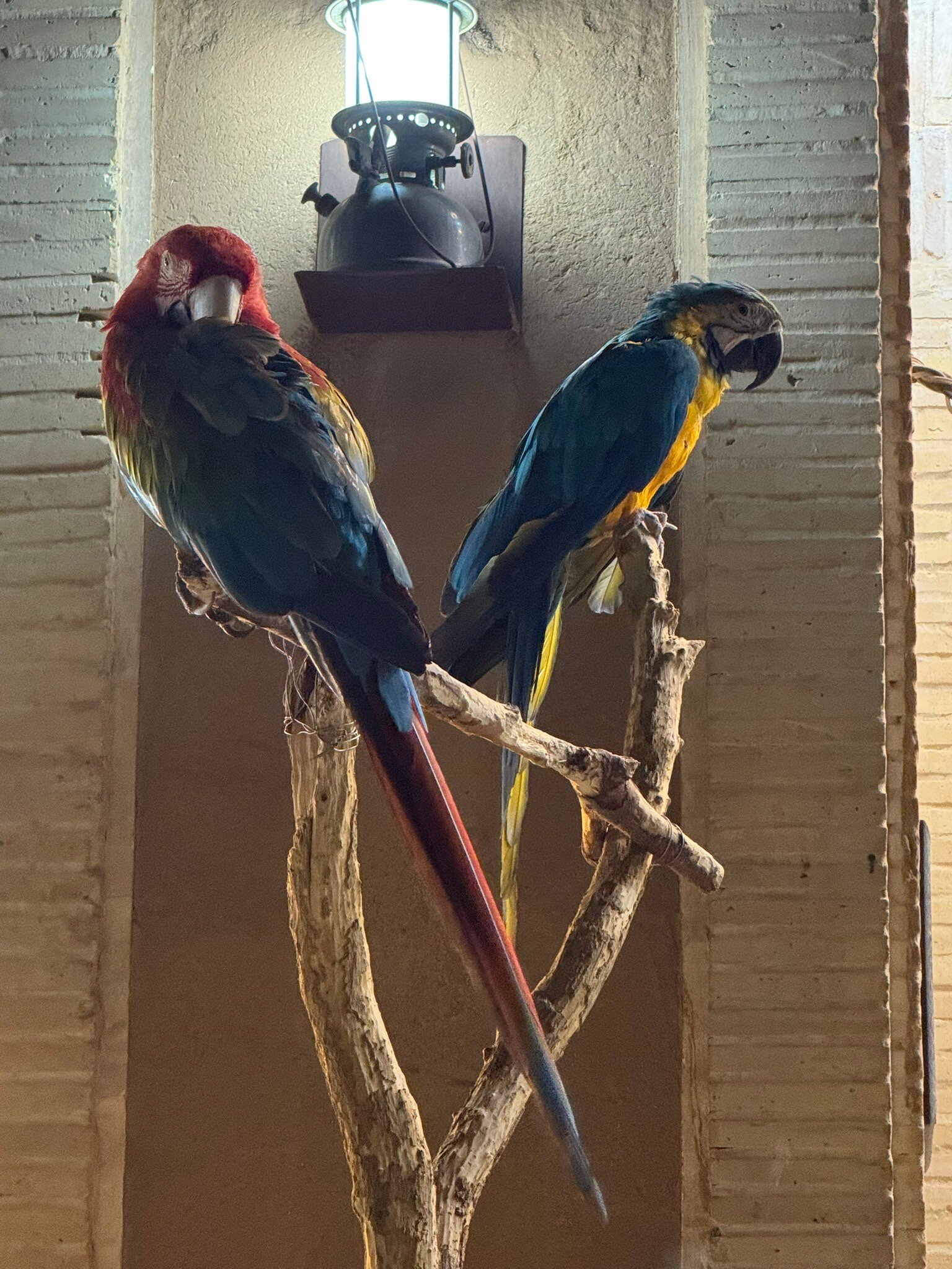 Moshir al-Mamalek Garden Hotel-官方