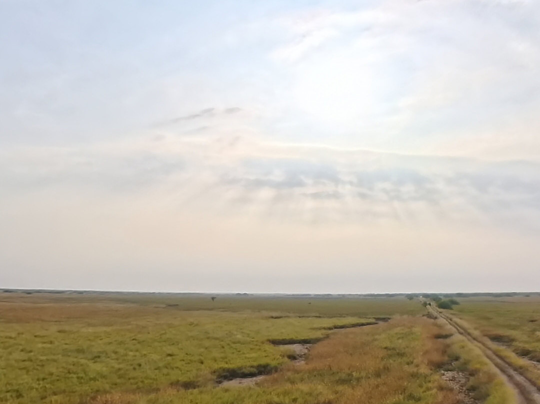 Blackbuck Safari Lodge主图