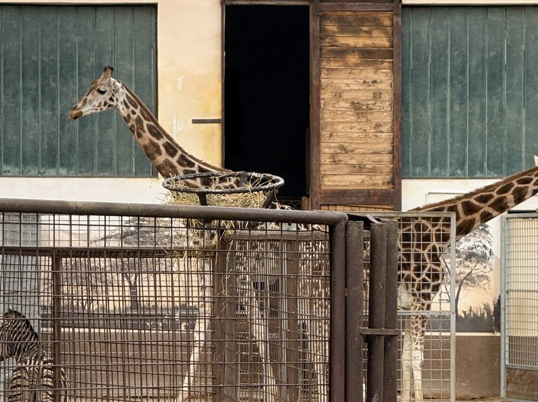 ZOO Bratislava-布拉迪斯拉发必去景点