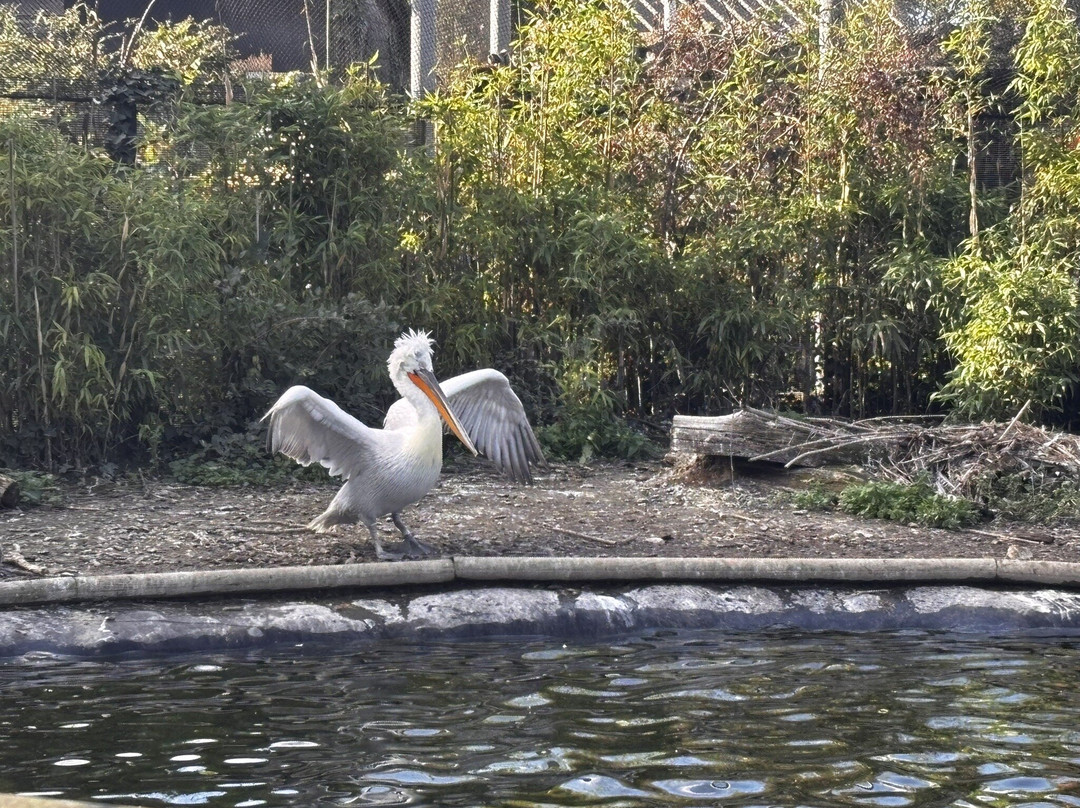 Bio-topia-敦克尔克必去景点