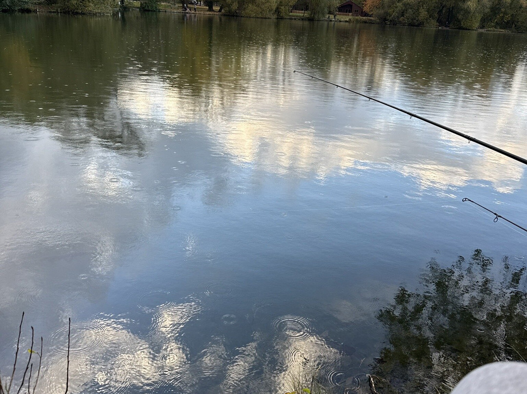 Woodland Waters Fishing-Ancaster必去景点