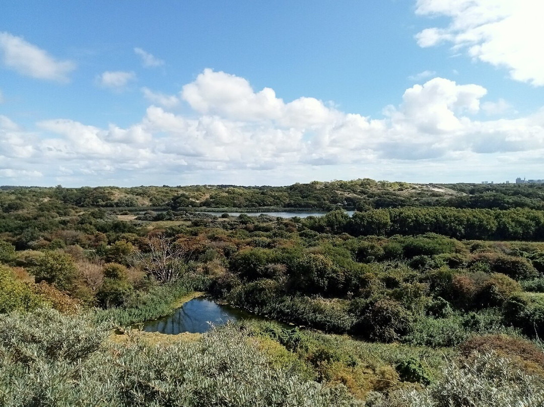 Uitzichtpunt Panneduin