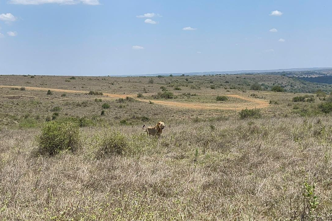 Kedi Trail-Voi必去景点
