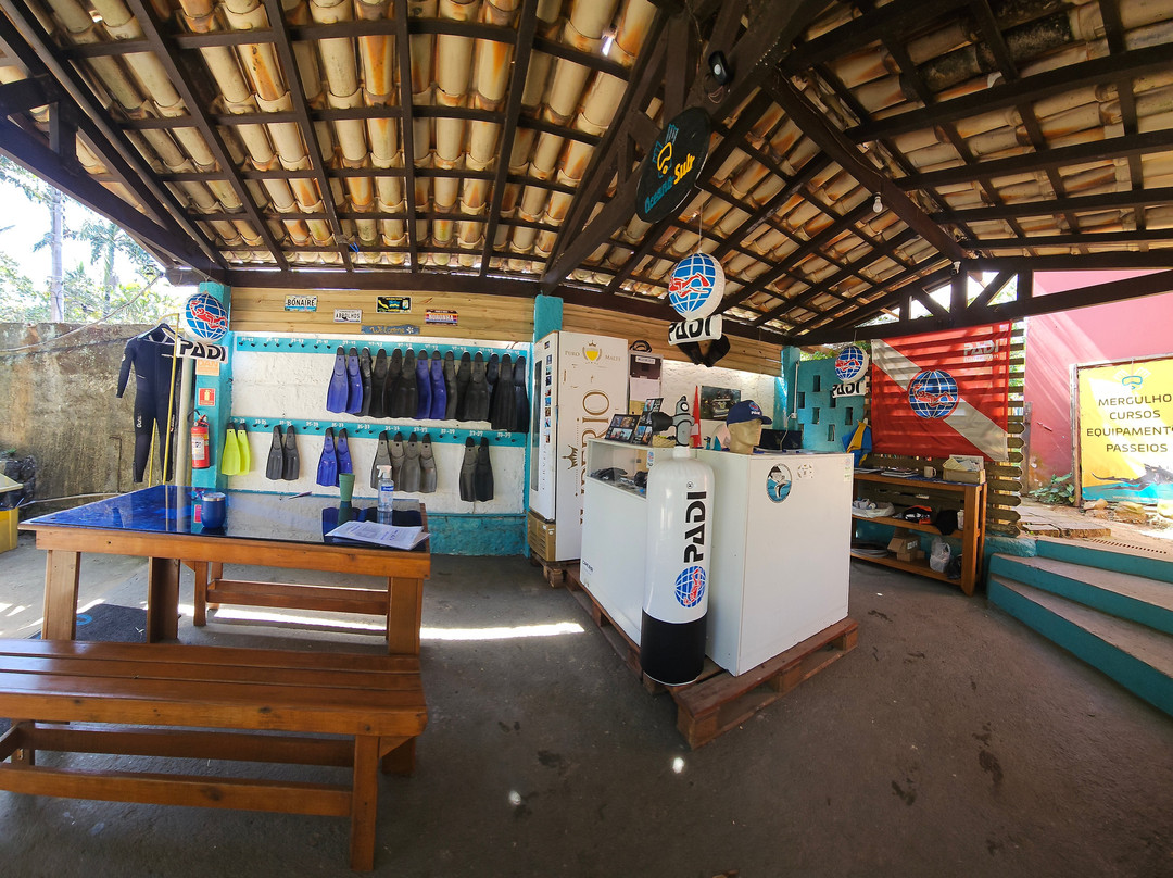 Oceano Sub Mergulho Ilhabela-伊利亚贝拉必去景点