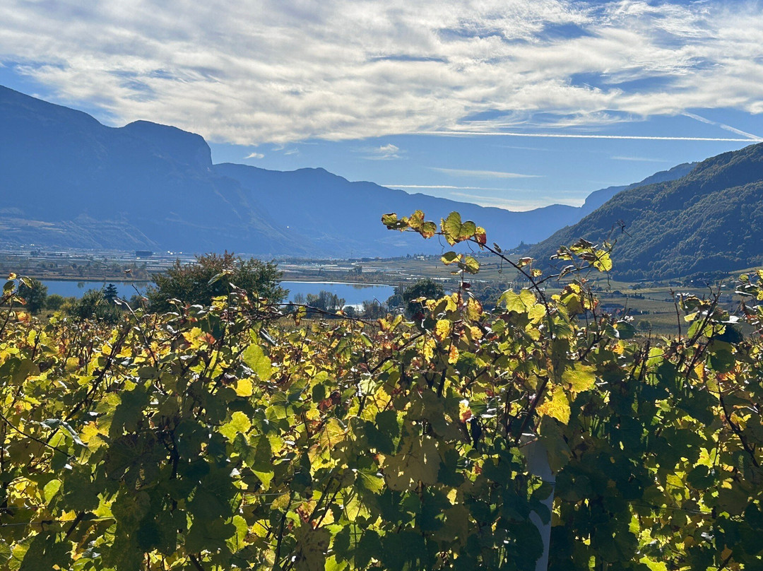 Piris Jagdhof - Dolce Vita Experience主图