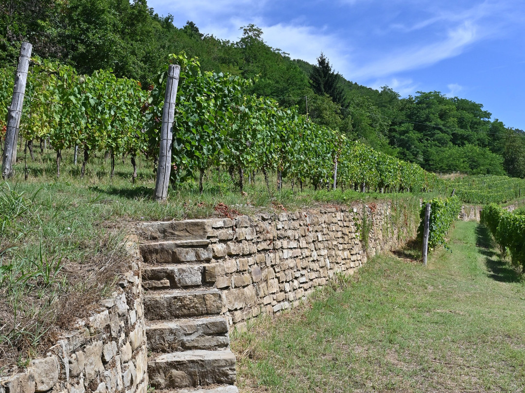 Azienda Agricola Roccasanta-Perletto必去景点