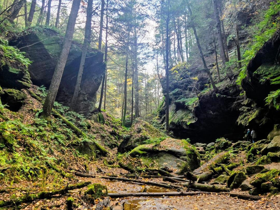 Conkles Hollow State Nature Preserve-Rockbridge必去景点