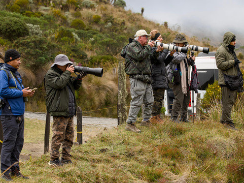 Neblina Forest-基多必去景点