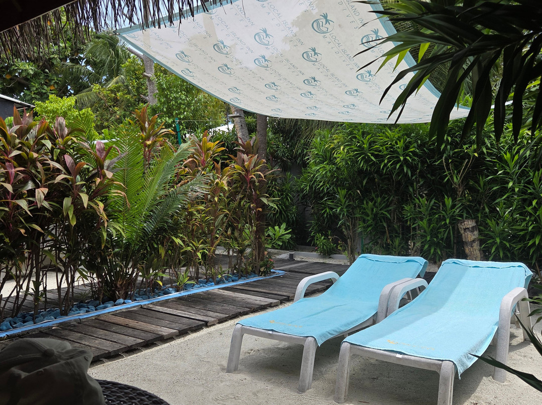 Local Island Inn主图