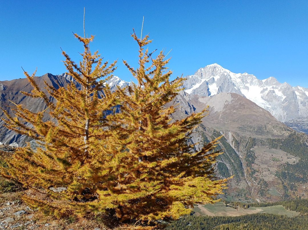 Belvedere d'Arpy-Morgex必去景点