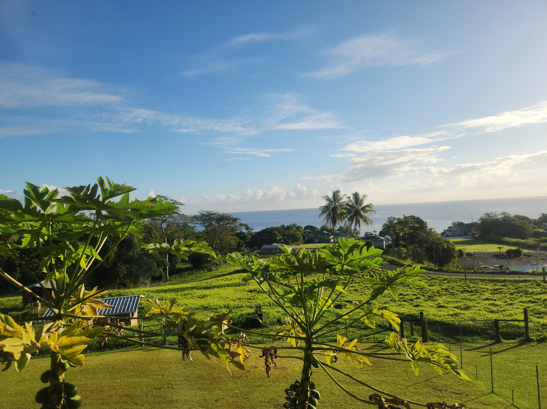 Hawaii Magic Skies Farmstay