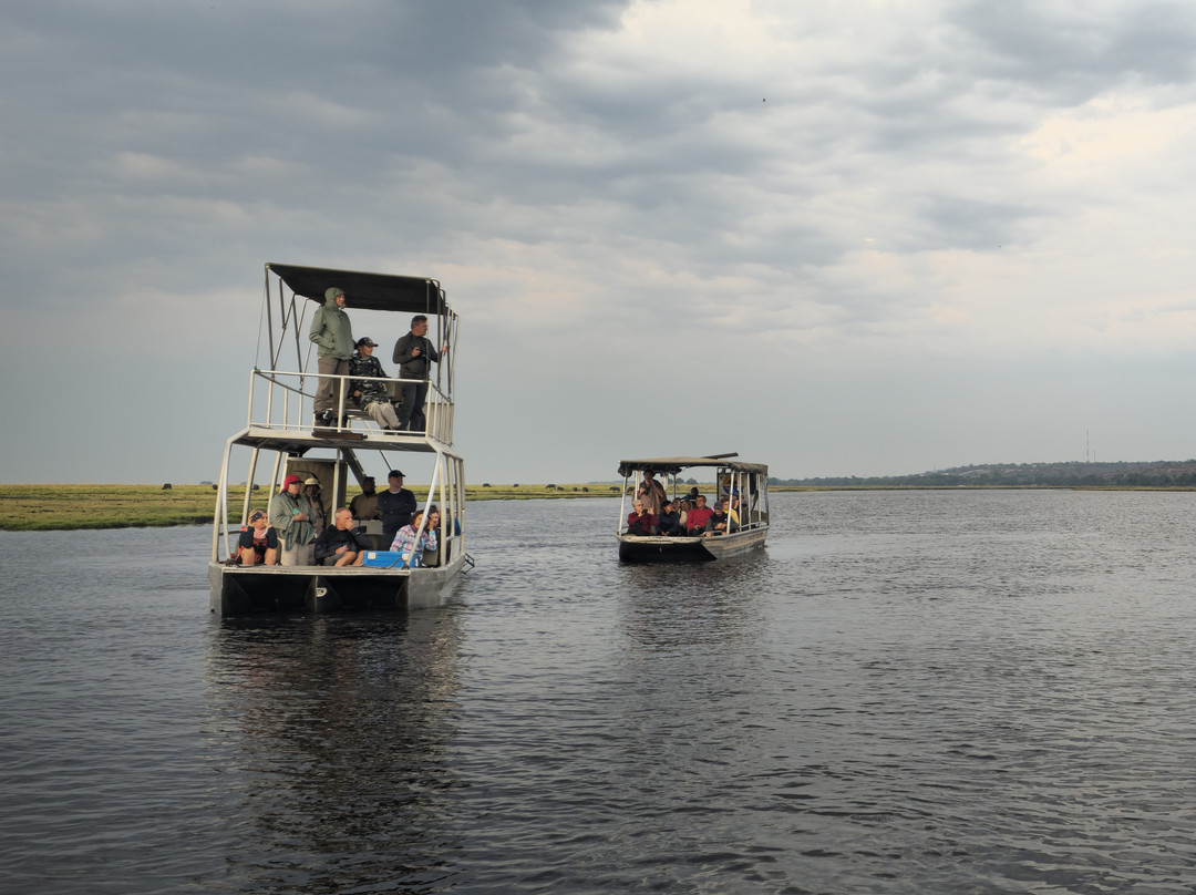 Chobe River Boat Cruises-卡萨尼必去景点
