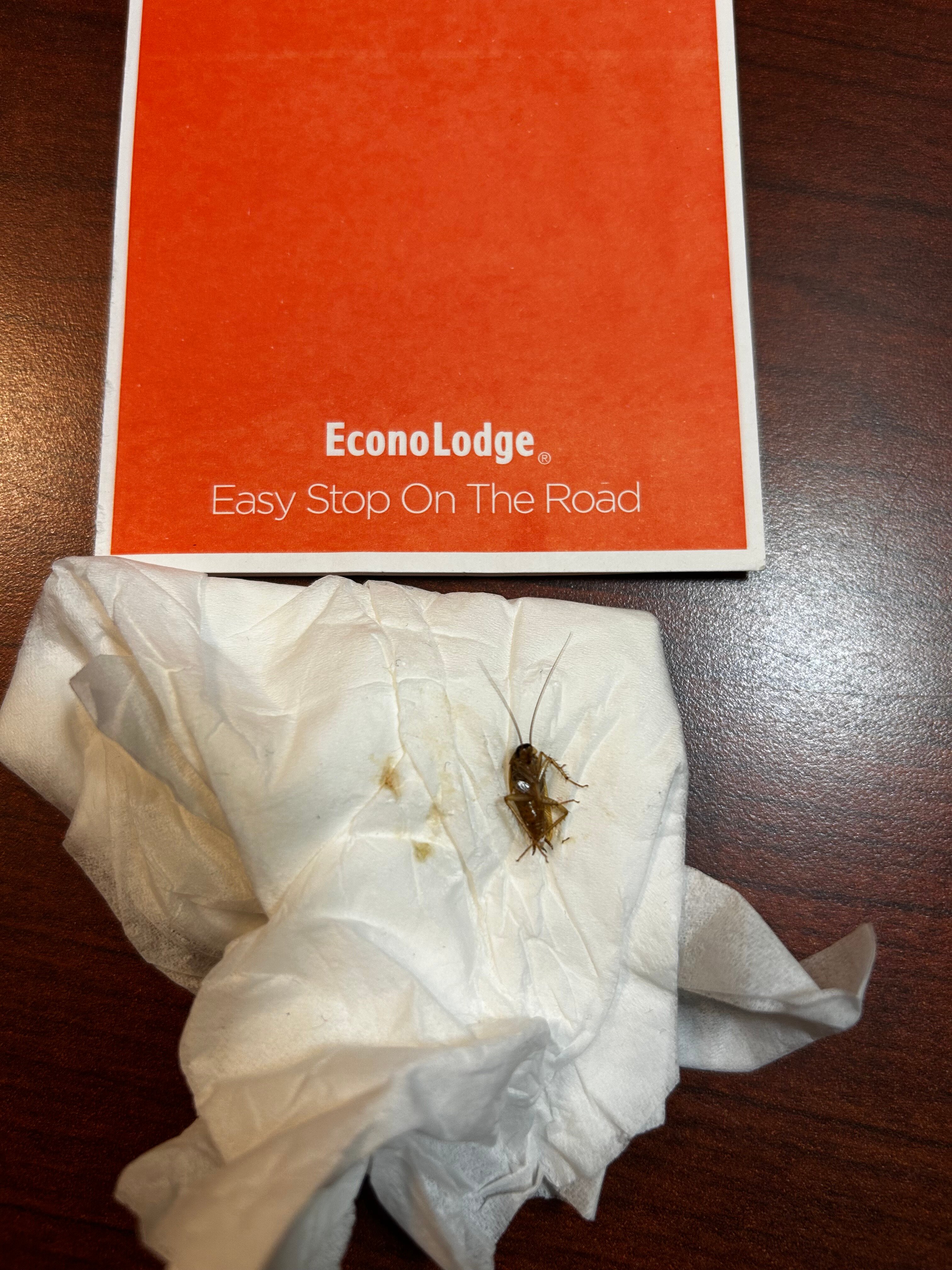 Econo Lodge Inn & Suites-官方