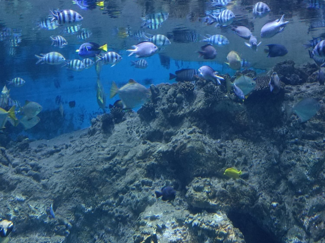 Planet Ocean Montpellier-蒙彼利埃必去景点