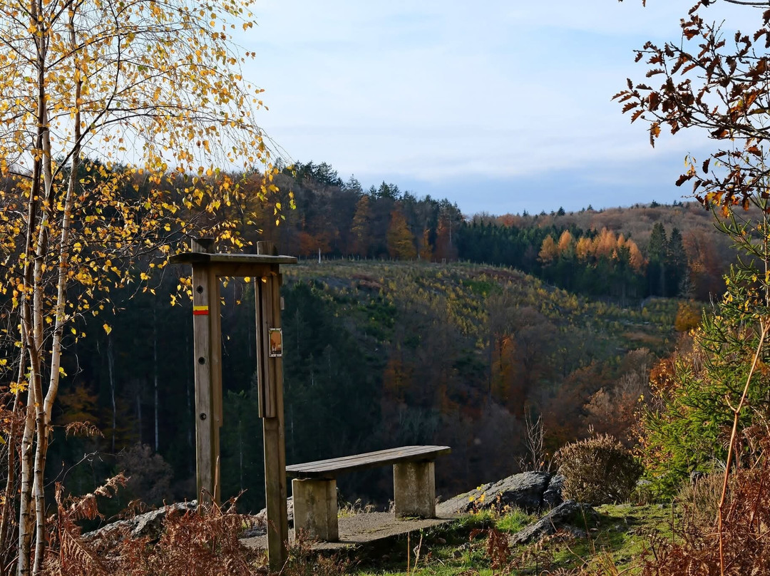 Reserve Naturelle de la Roche a l'Appel-Florenville必去景点