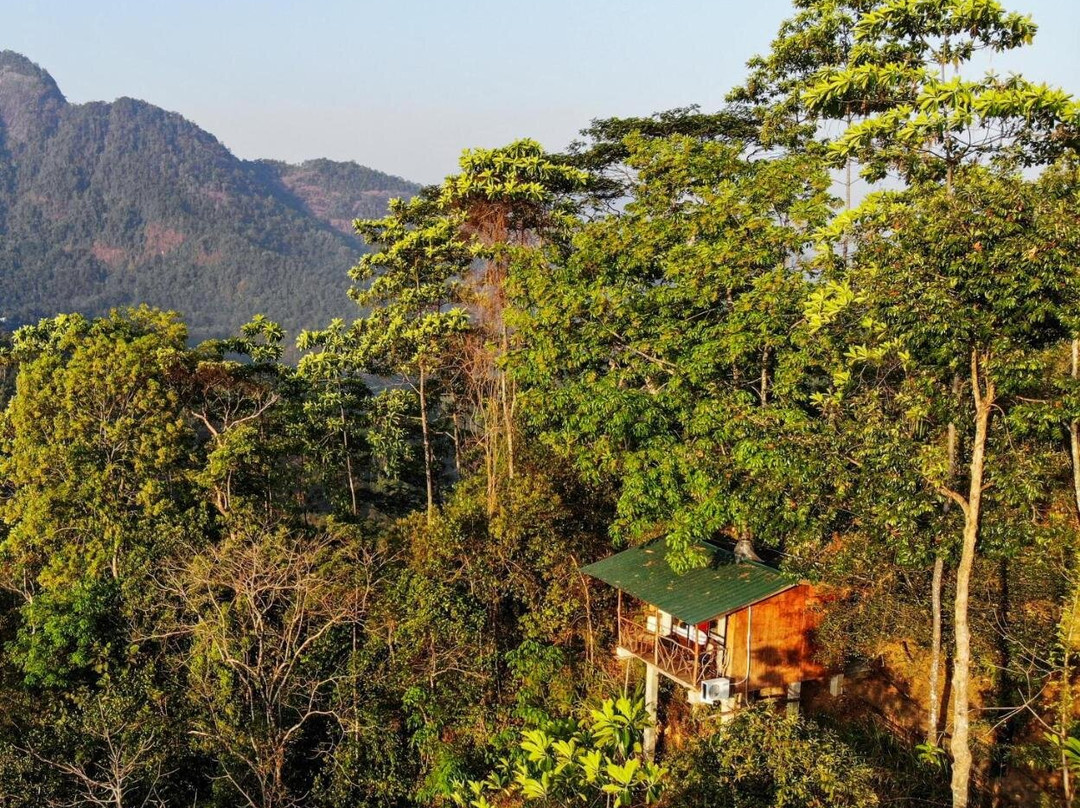 Tree Houses by Jungle River
