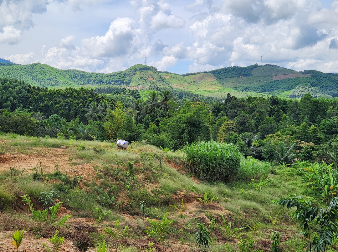 Vina DMZ Travel-Dong Ha必去景点