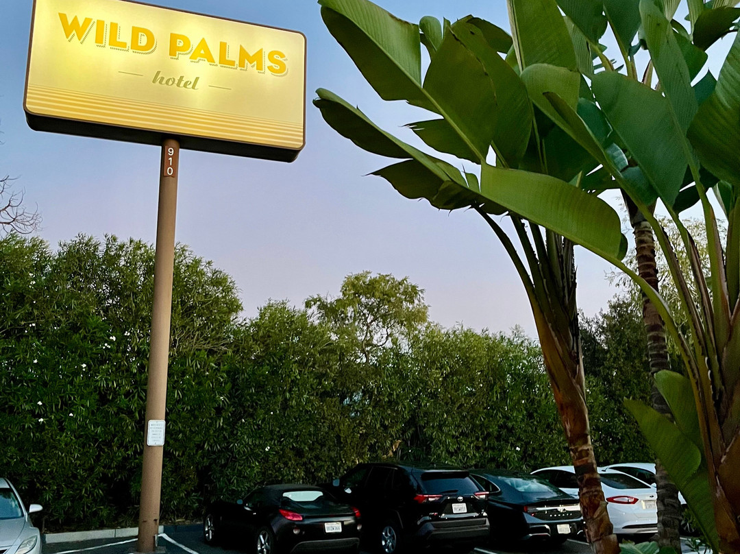 杰德威尔野棕榈酒店主图