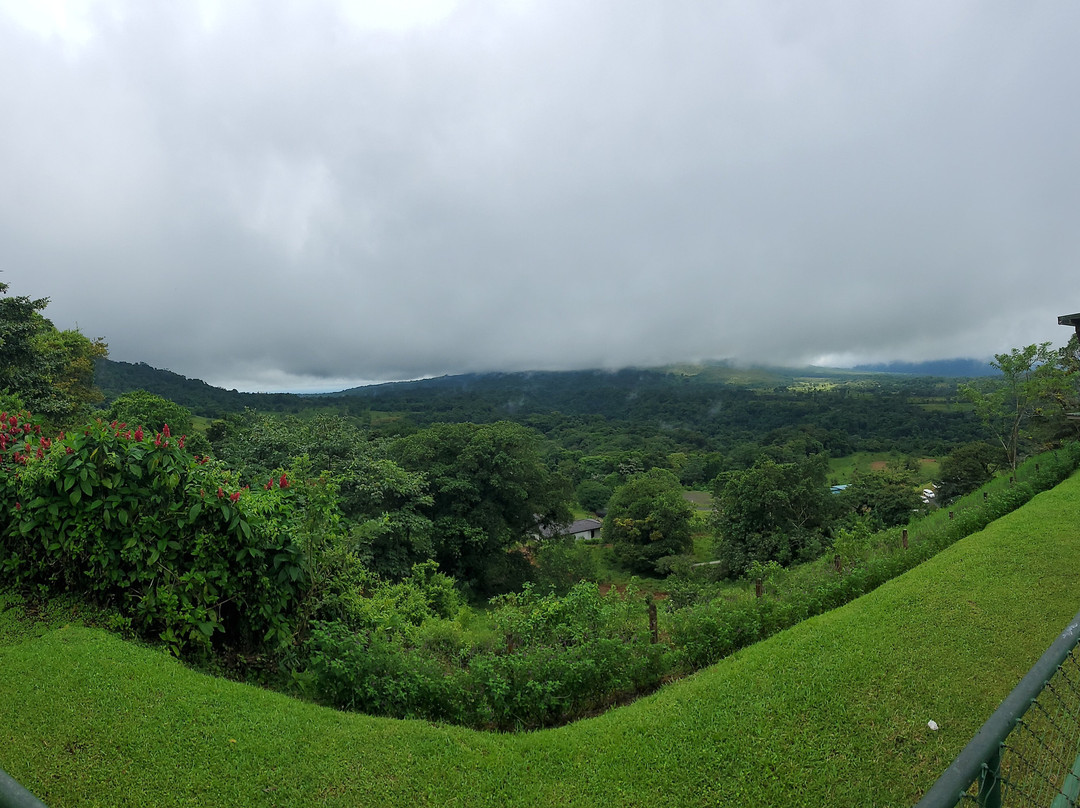 Mistico Arenal Hanging Bridges Park-福德圣卡洛斯必去景点