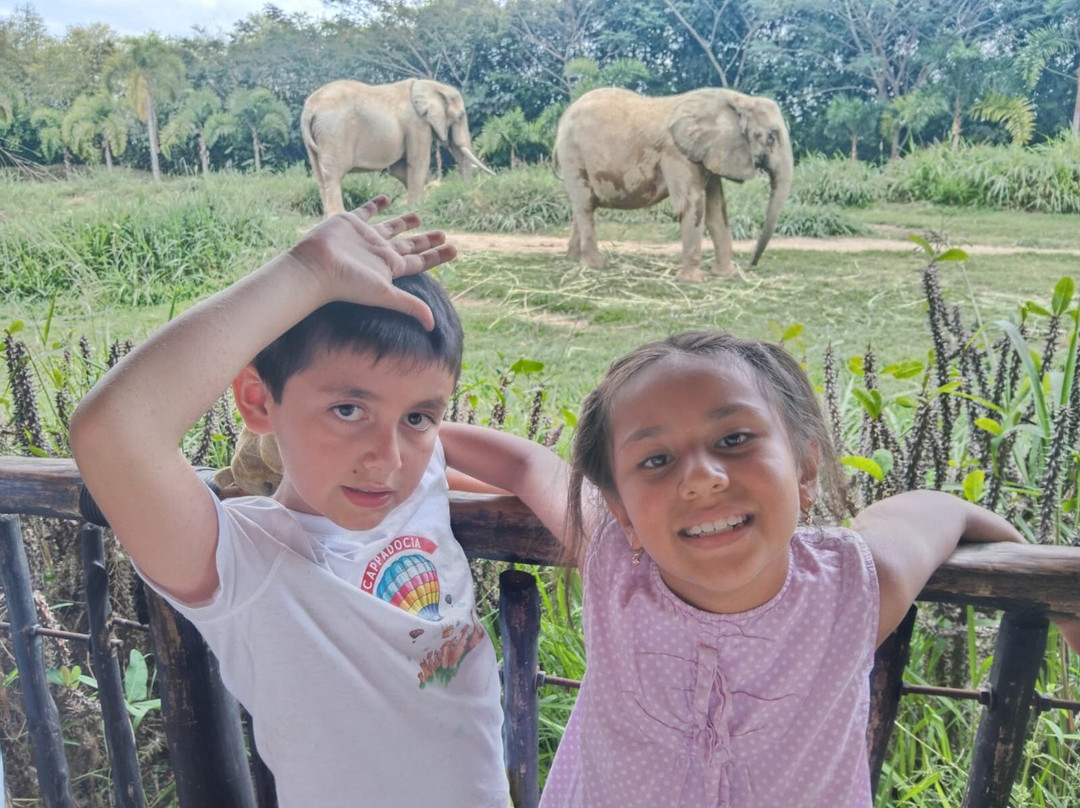 Bioparque Ukumarí-佩雷拉必去景点